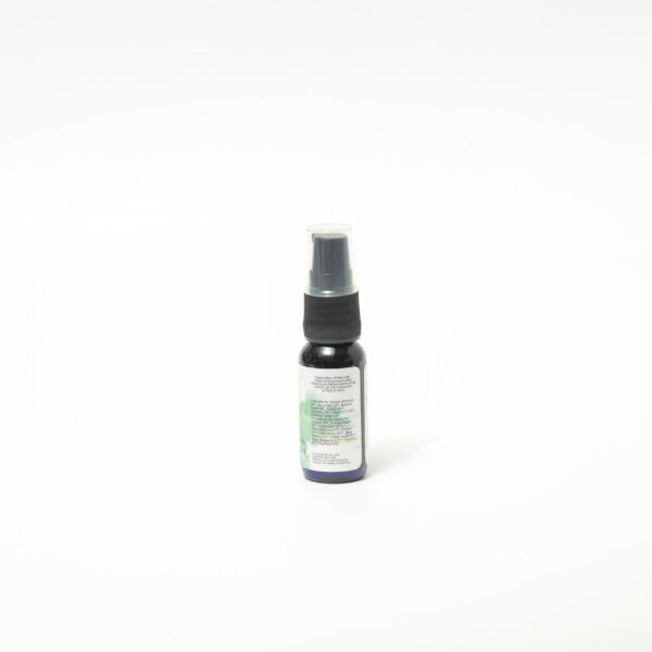 GLOW AGAIN SERUM w/ Vitamins A, C & E - Image 2